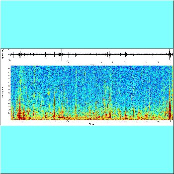 Hypostomus carinatus cf_spectrogram.png